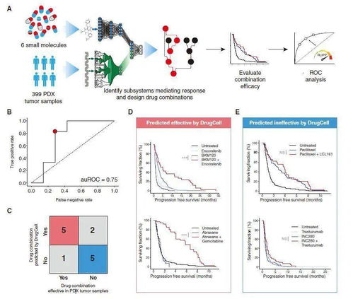 人工智能驱动精准医疗 为癌症患者匹配最佳药物组合的新纪元