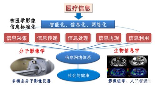 核医学与人工智能 基础软件开发驱动下的融合与变革